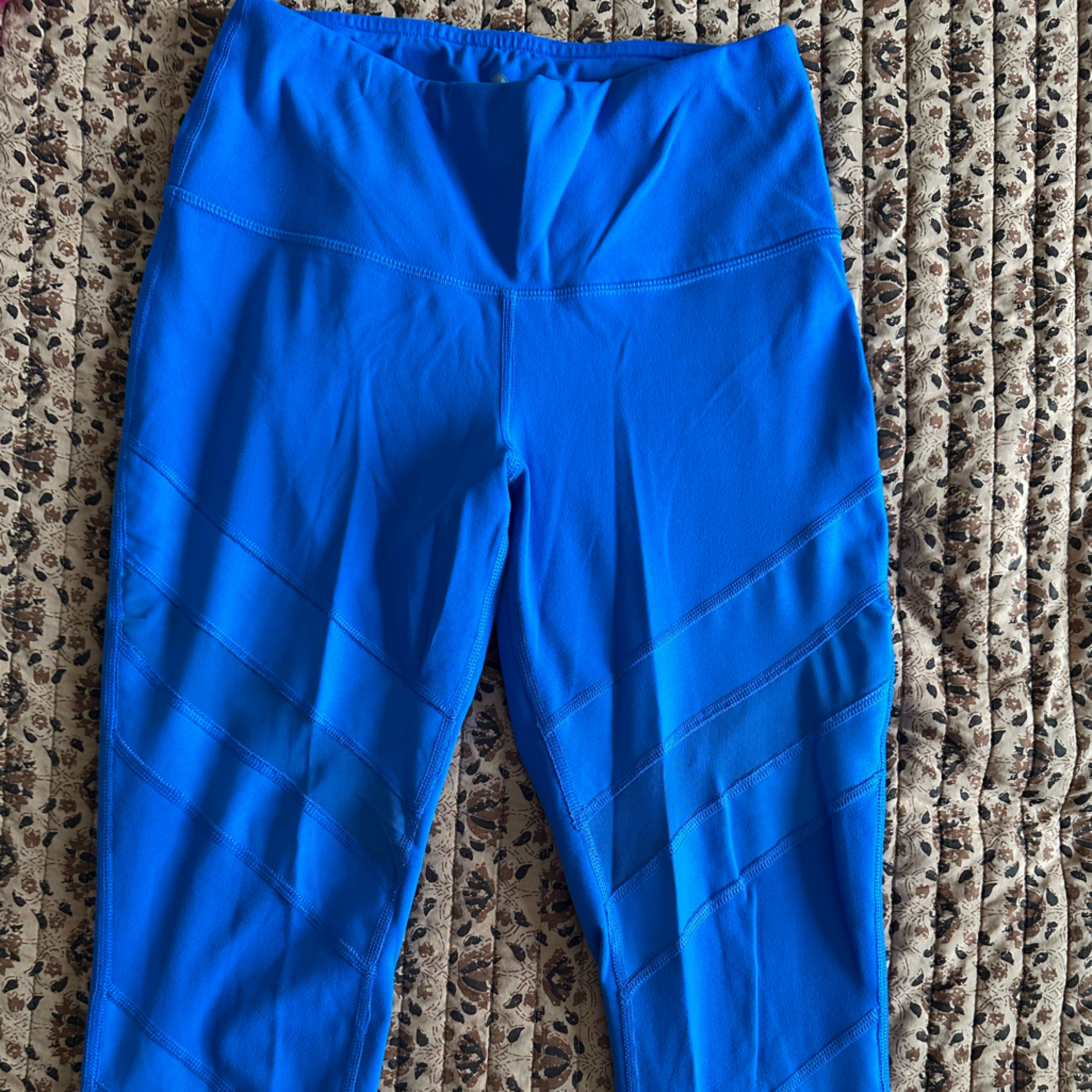 Yogalicious Bright Blue Activewear